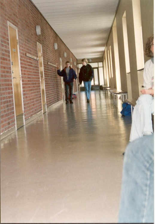 bild7.jpg