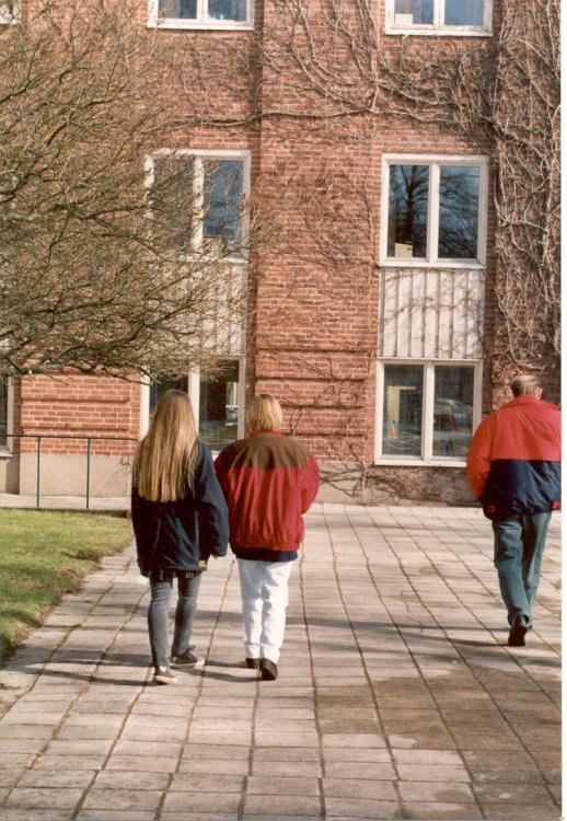 bild8.jpg