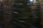 bild_005.jpg