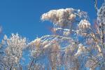bild_014.jpg