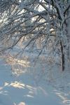 bild_030.jpg
