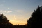 bild_008.jpg