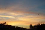 bild_016.jpg