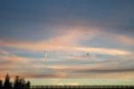 bild_018.jpg