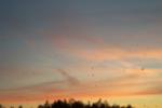 bild_020.jpg