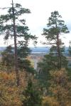 bild_028.jpg