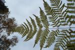 bild_037.jpg