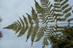 bild_038.jpg
