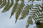 bild_040.jpg
