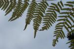 bild_041.jpg