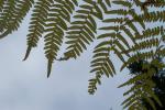 bild_042.jpg