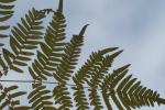 bild_045.jpg