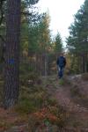 bild_050.jpg