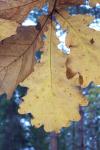 bild_053.jpg