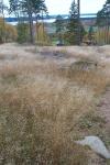 bild_056.jpg