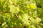 bild_028.jpg