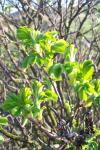 Bild_008.jpg