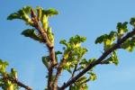 Bild_012.jpg