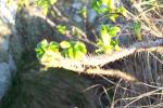 Bild_013.jpg