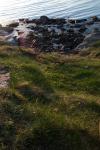 Bild_038.jpg
