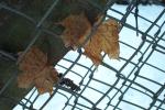 bild_020.jpg