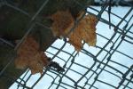 bild_021.jpg
