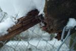 bild_022.jpg