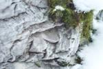 bild_026.jpg