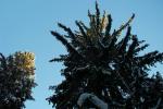 bild_028.jpg