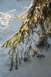 bild_029.jpg