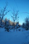 bild_035.jpg