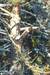 bild_039.jpg