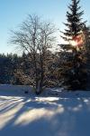 bild_040.jpg