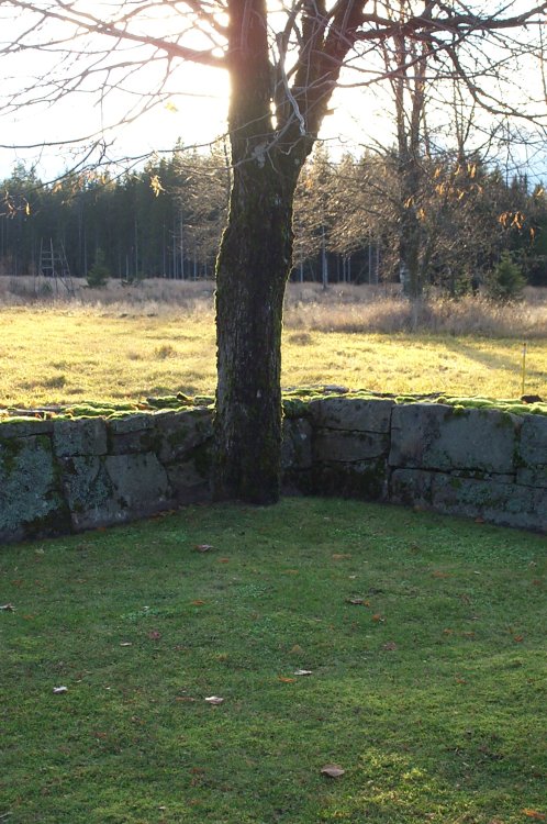 DCP_3012.JPG