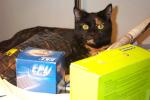 bild_026.jpg