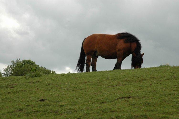 DSC_0149.JPG