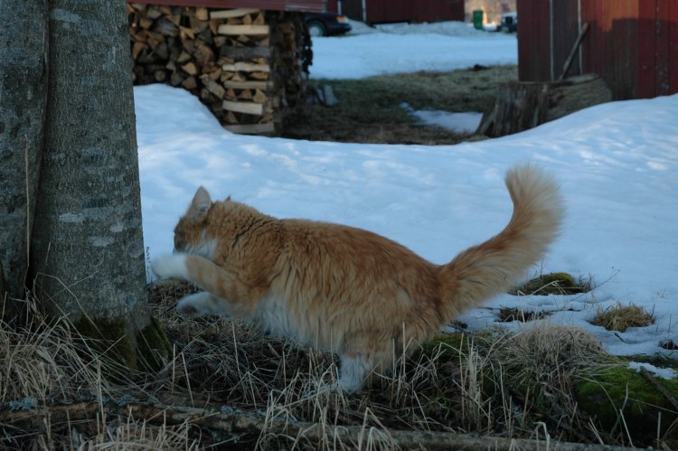 DSC_0069.JPG
