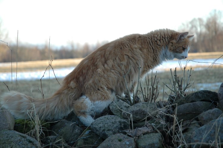 DSC_0093.JPG
