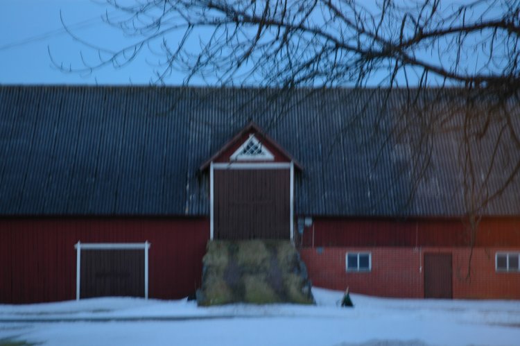 DSC_0117.JPG