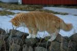 DSC_0084.JPG