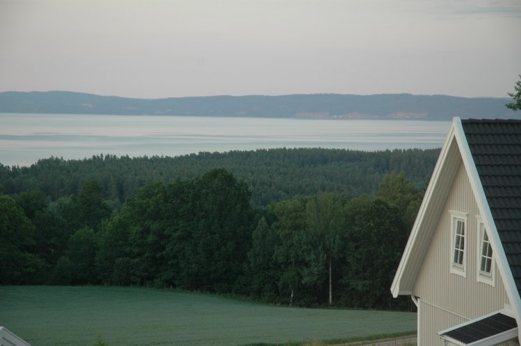 DSC_0142.JPG