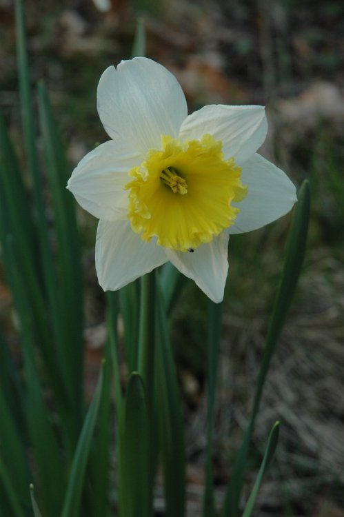 DSC_0043.JPG