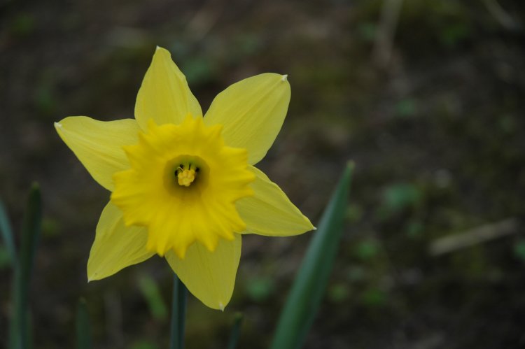 DSC_0060.JPG