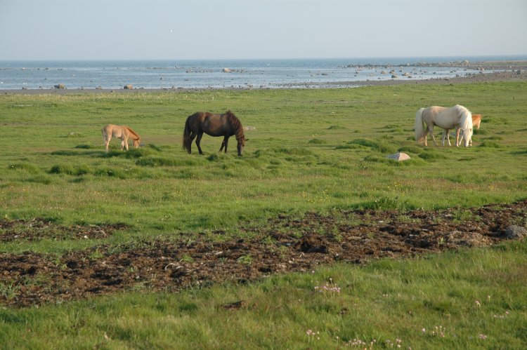 DSC_0014.JPG