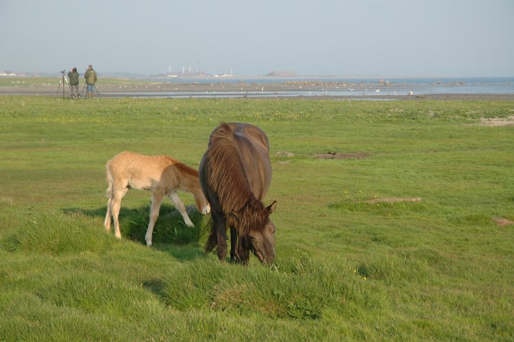 DSC_0015.JPG