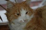 DSC_0102.JPG