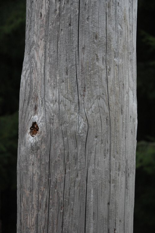 DSC_0038.JPG