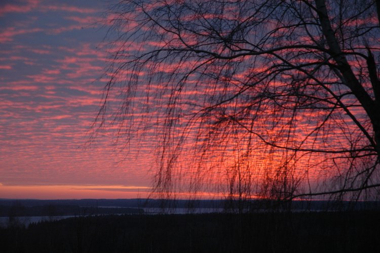 DSC_0044.JPG