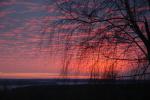 DSC_0044.JPG