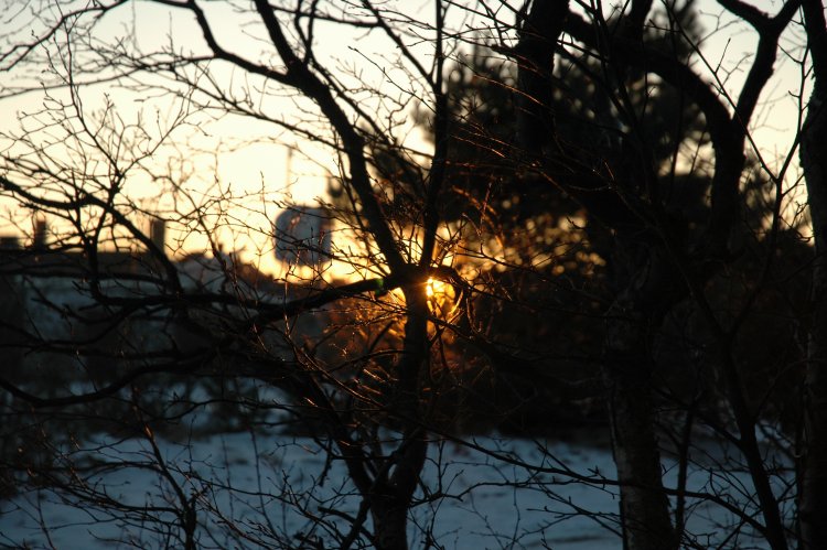 DSC_0223.JPG